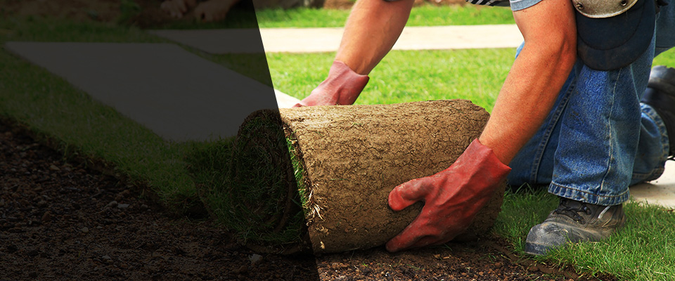 Heron Lake Landscapers